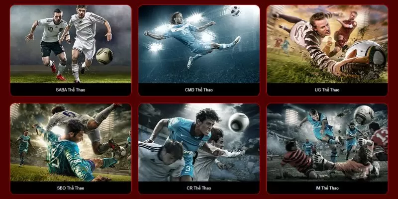 Thể thao tại nh&agrave; c&aacute;i 33win&nbsp;