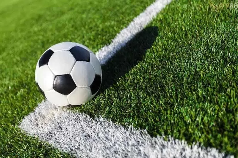 Ng&agrave;y c&agrave;ng nhiều cược thủ sử dụng rộng r&atilde;i b&agrave;o cỏ