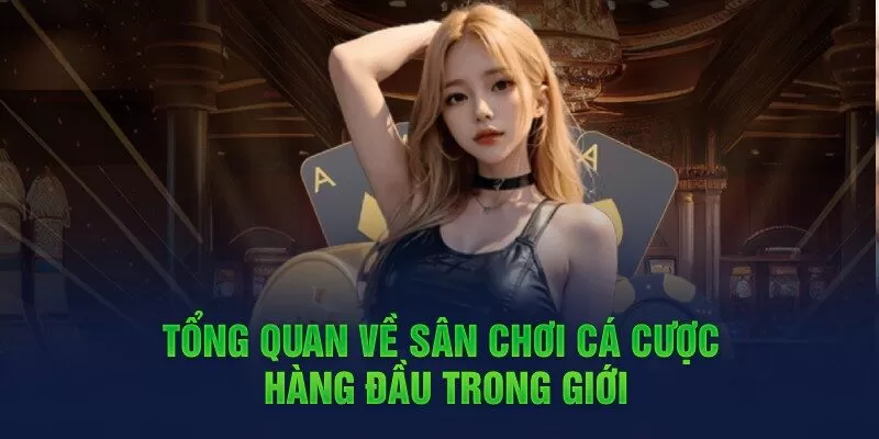 Giới thiệu về nh&agrave; c&aacute;i XO88