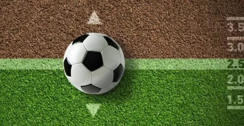 Mẹo chơi k&egrave;o tổng b&agrave;n thắng hiệu quả