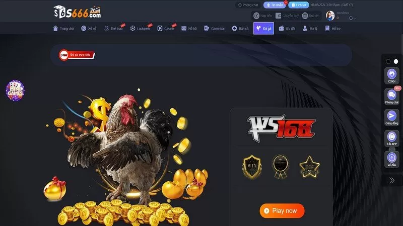 Trải nghiệm văn h&oacute;a đ&aacute; g&agrave; tại S666 l&agrave; sự lựa chọn th&ocirc;ng minh